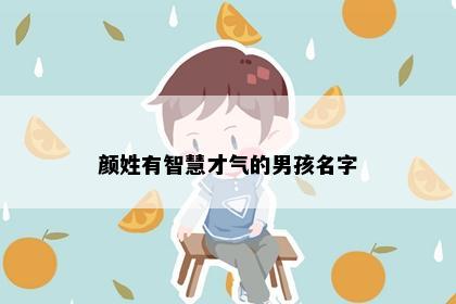 颜姓有智慧才气的男孩名字