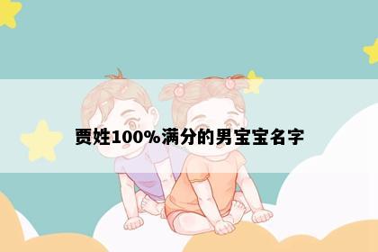 贾姓100%满分的男宝宝名字