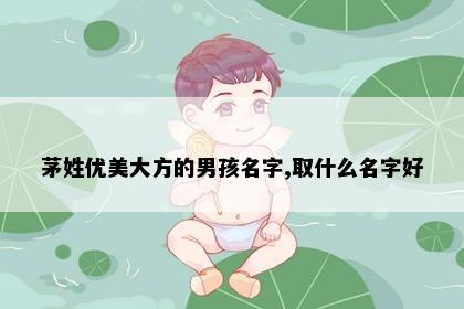 茅姓优美大方的男孩名字,取什么名字好