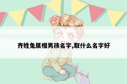 齐姓兔属相男孩名字,取什么名字好