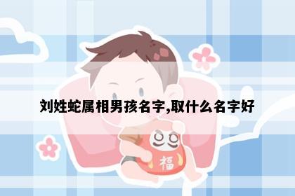 刘姓蛇属相男孩名字,取什么名字好