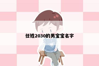 任姓2030的男宝宝名字